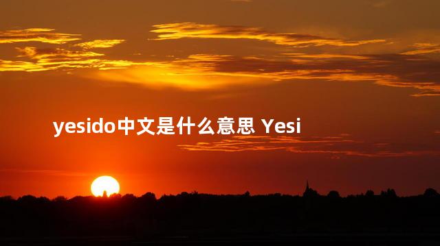 yesido中文是什么意思 Yesido翻译成中文